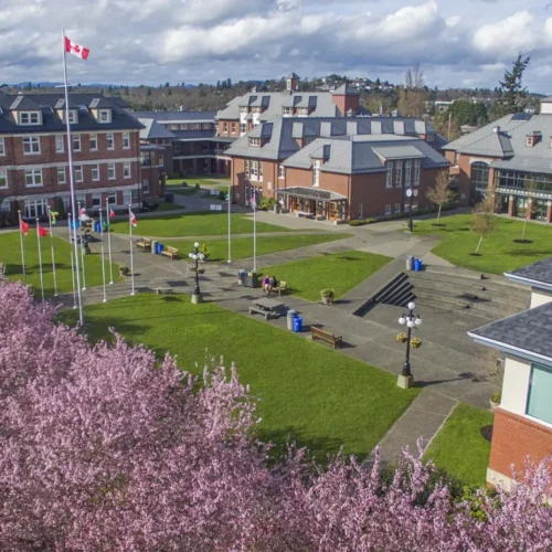 St. Michaels University School<br>세인트마이클스 유니버시티 스쿨